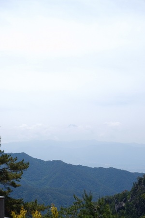 17CE701A-F8F6-4BDC-8527-C7FD4A19DFAD.jpeg