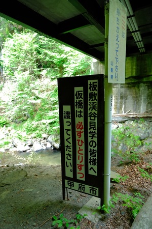 A9652D60-9F66-40A9-8C27-37813E162287.jpeg