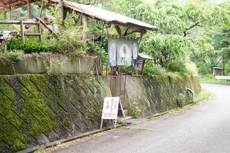 2EABD878-A281-46FC-9091-A9790BD471D1.jpeg